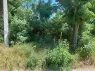 Pest megye - Csörög
