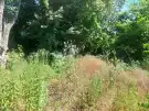 Pest megye - Csörög