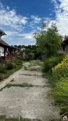 Pest megye - Dabas