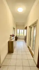 Pest megye - Dabas