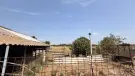 Pest megye - Dabas