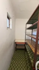 Pest megye - Dabas