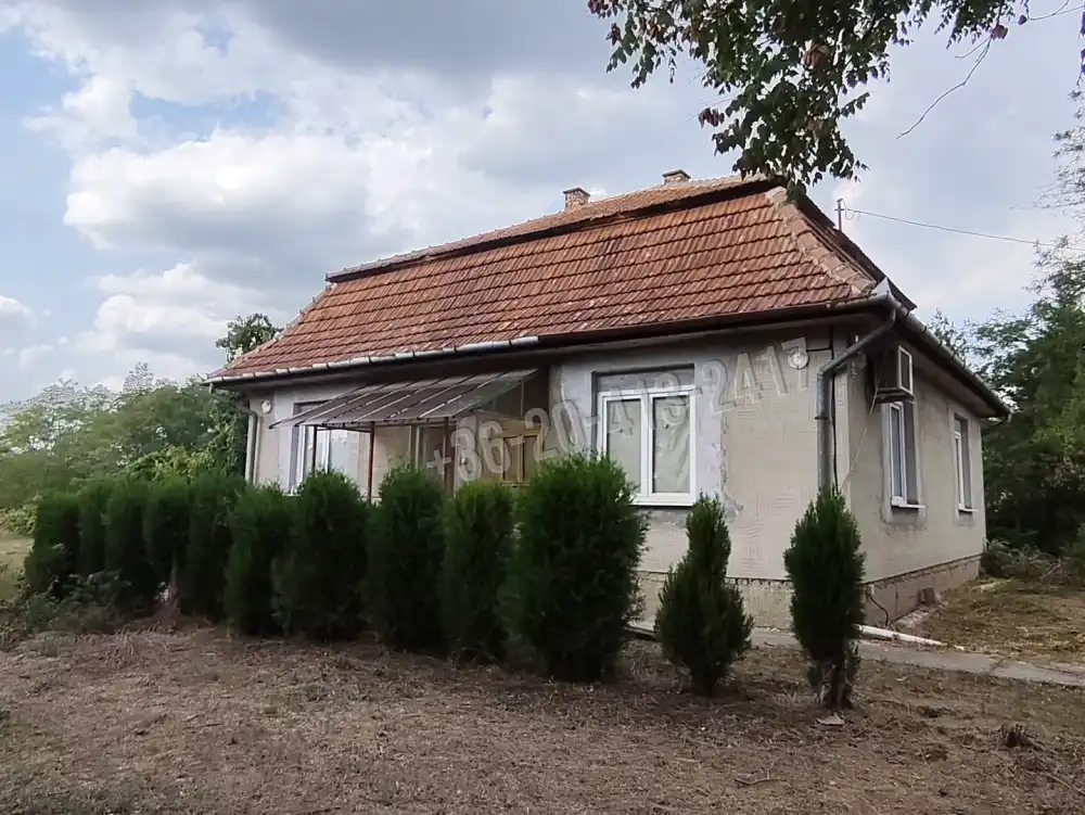 Pest megye - Dánszentmiklós