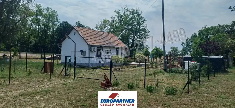 eladó családi ház, Dánszentmiklós