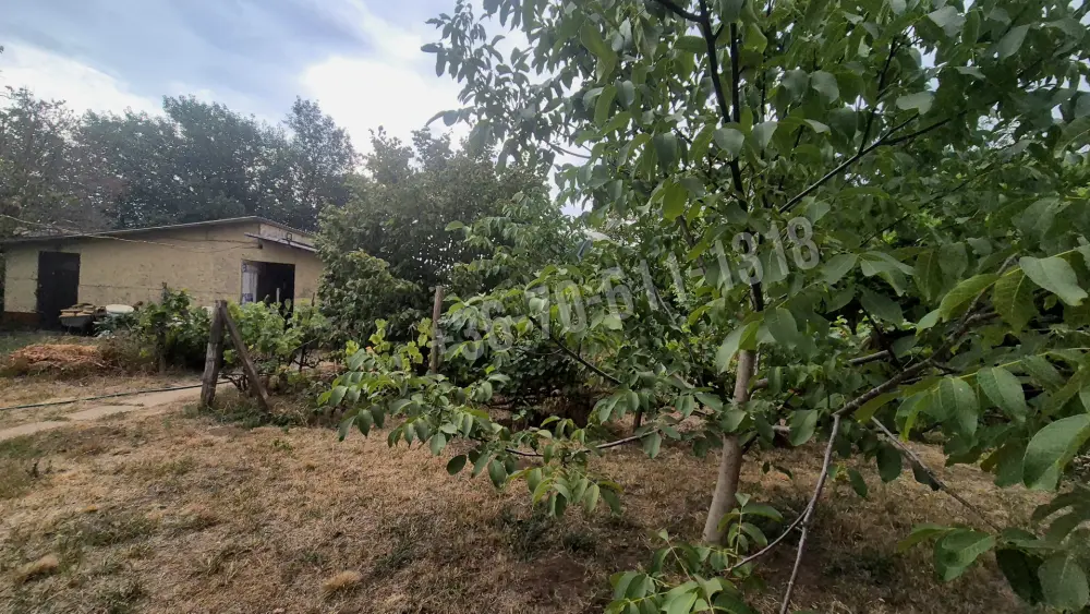 Hajdú-Bihar megye - Debrecen
