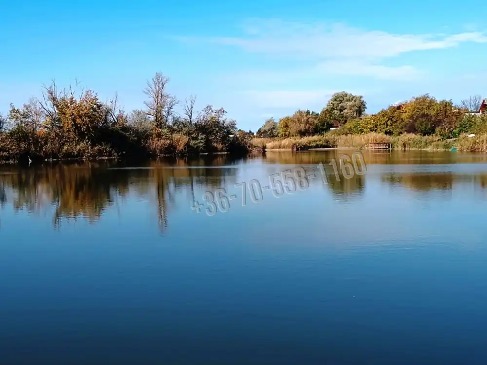 Pest megye - Délegyháza