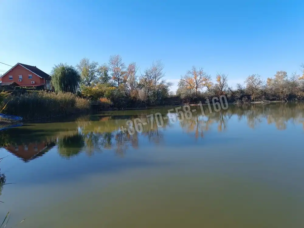 Pest megye - Délegyháza