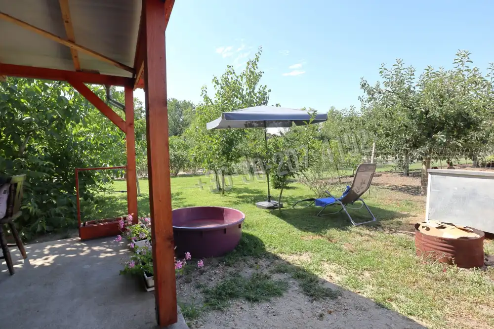 Csongrád megye - Domaszék