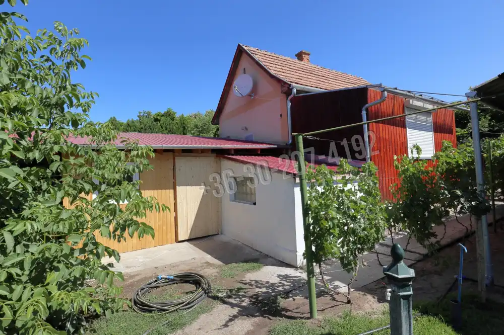 Csongrád megye - Domaszék