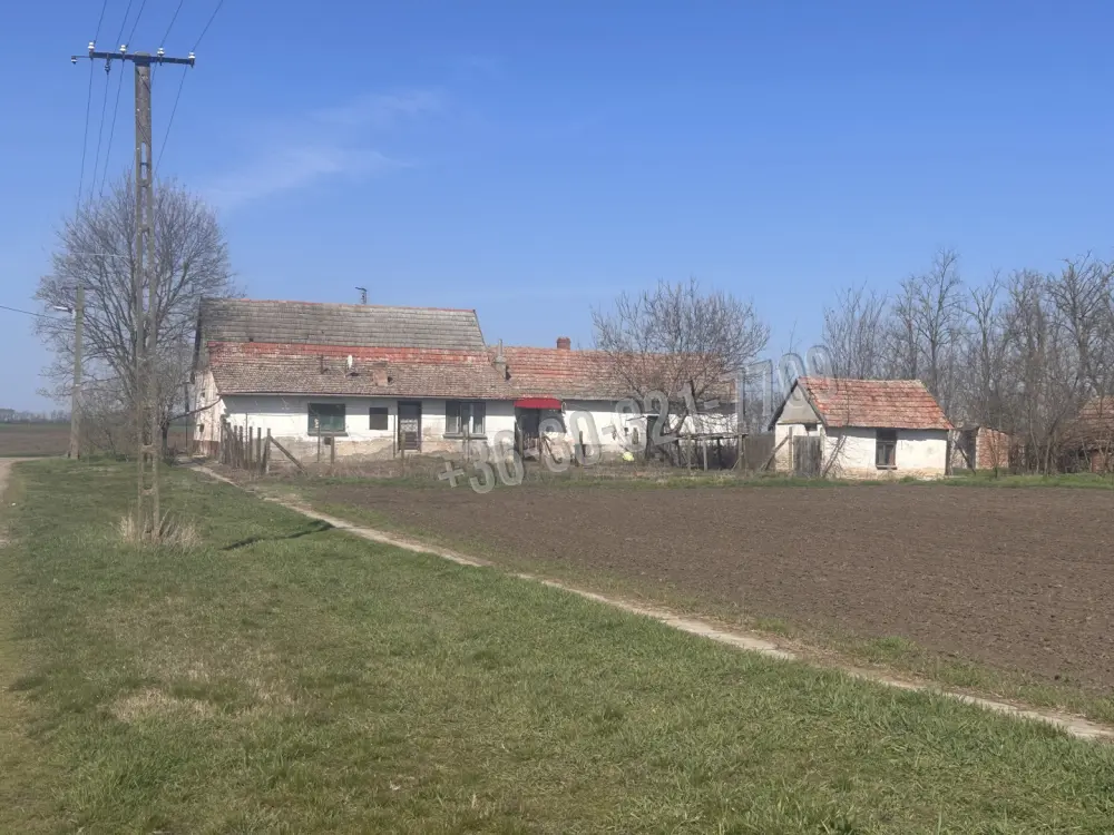 Békés megye - Dombegyház