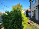 Nógrád megye - Drégelypalánk