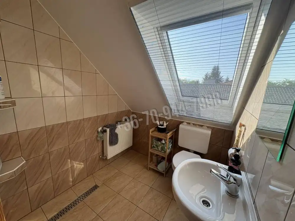 Pest megye - Dunaharaszti