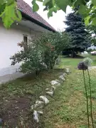 Pest megye - Dunaharaszti