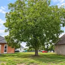 Győr-Moson-Sopron megye - Dunakiliti