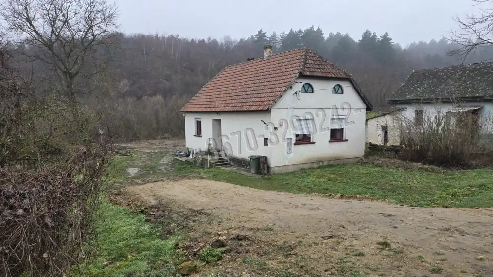 Borsod-Abaúj-Zemplén megye - Erdőbénye