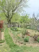 Pest megye - Erdőkertes