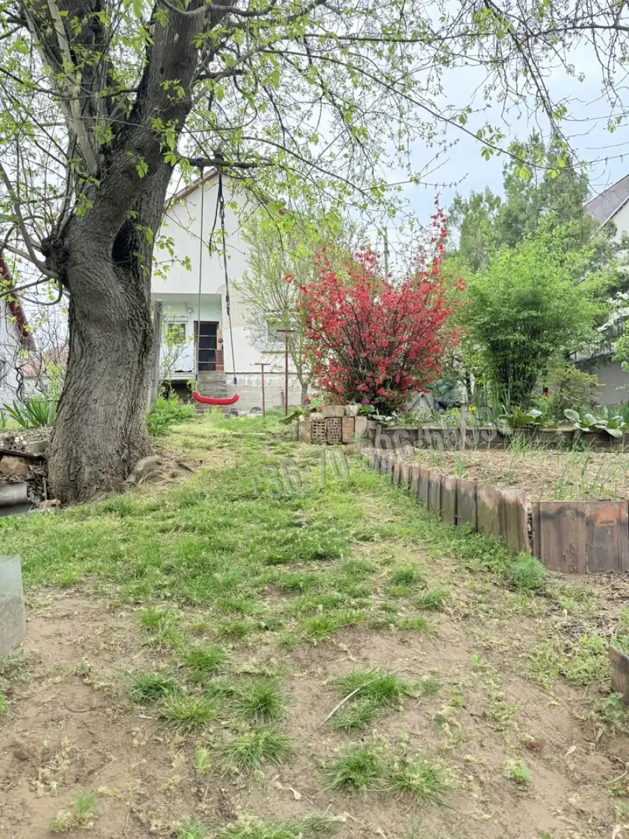eladó családi ház, Erdőkertes