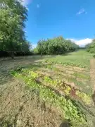 Baranya megye - Erzsébet