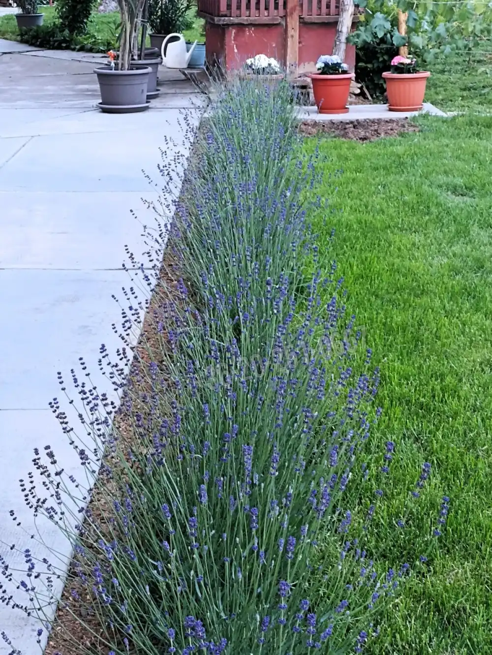 Baranya megye - Geresdlak