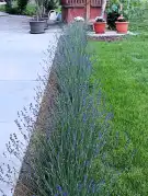 Baranya megye - Geresdlak