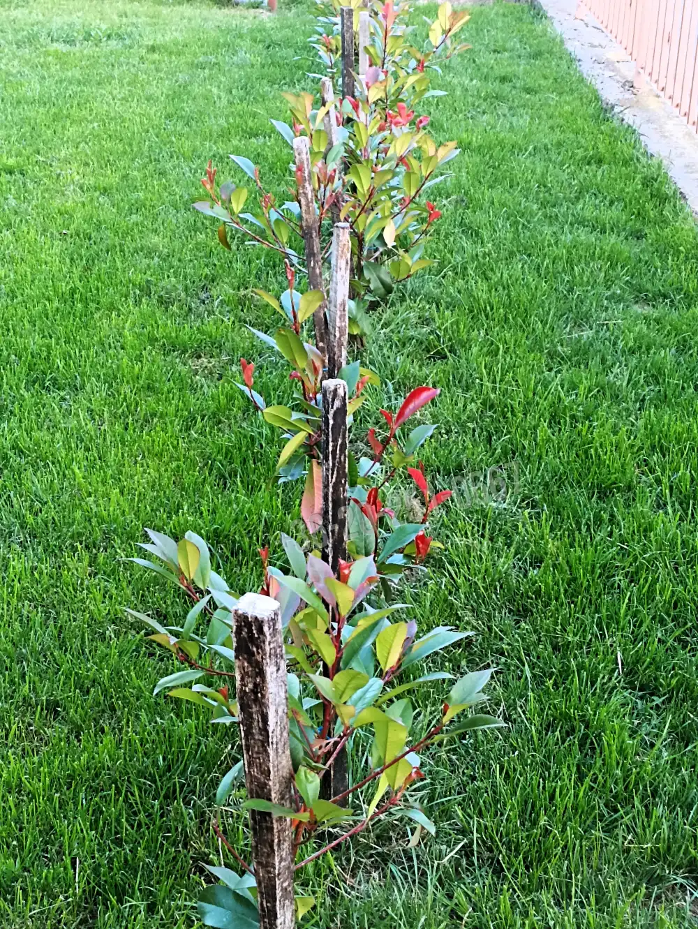 Baranya megye - Geresdlak