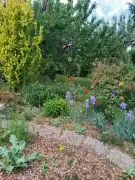 Pest megye - Gödöllő