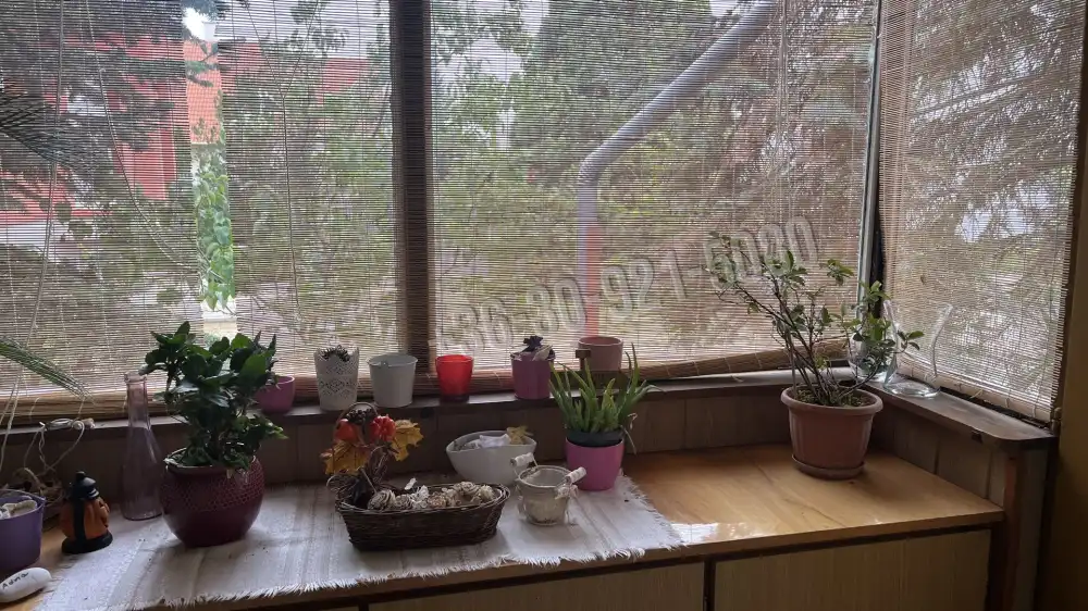 Pest megye - Gödöllő