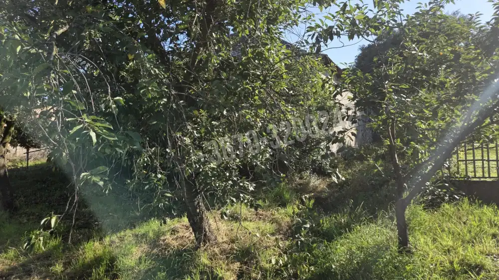 Borsod-Abaúj-Zemplén megye - Golop