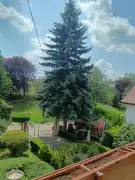 Békés megye - Gyomaendrőd