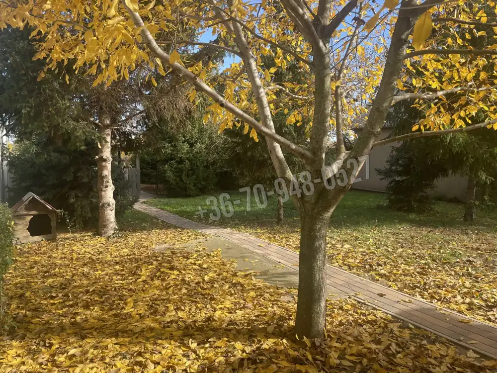 Békés megye - Gyula