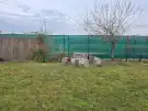 Győr-Moson-Sopron megye - Harka