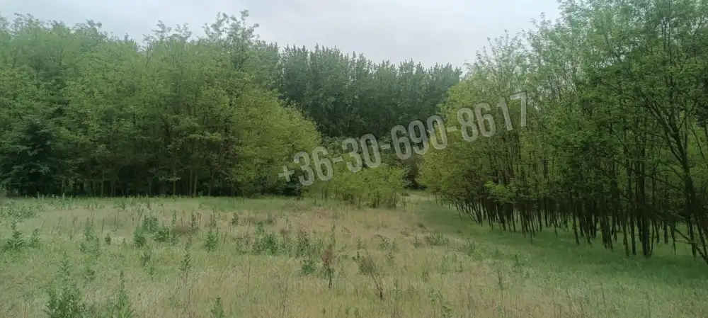 Pest megye - Hernád
