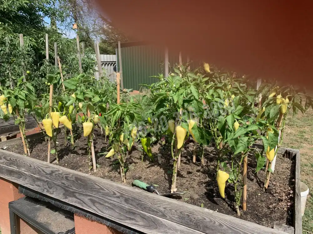 Zala megye - Hévíz