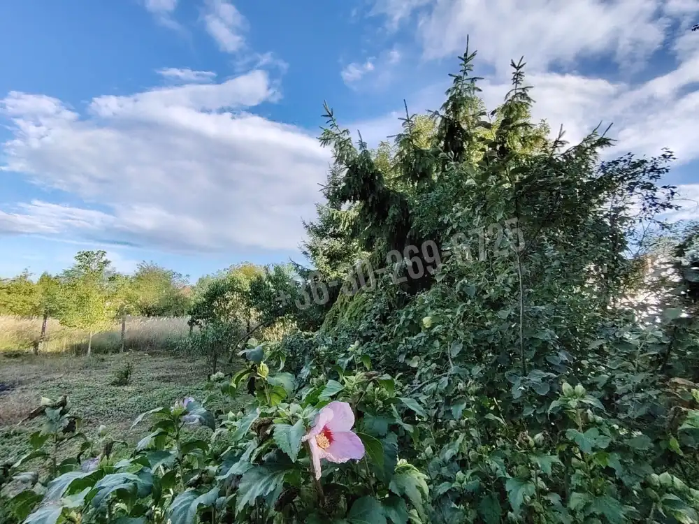 Nógrád megye - Ipolyvece