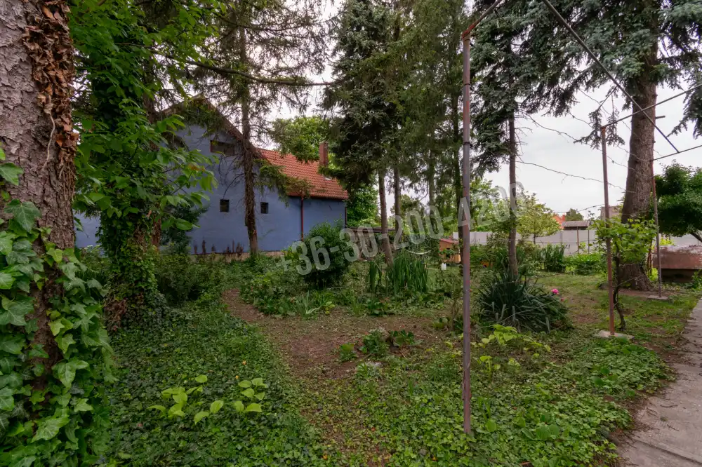Győr-Moson-Sopron megye - Jánossomorja