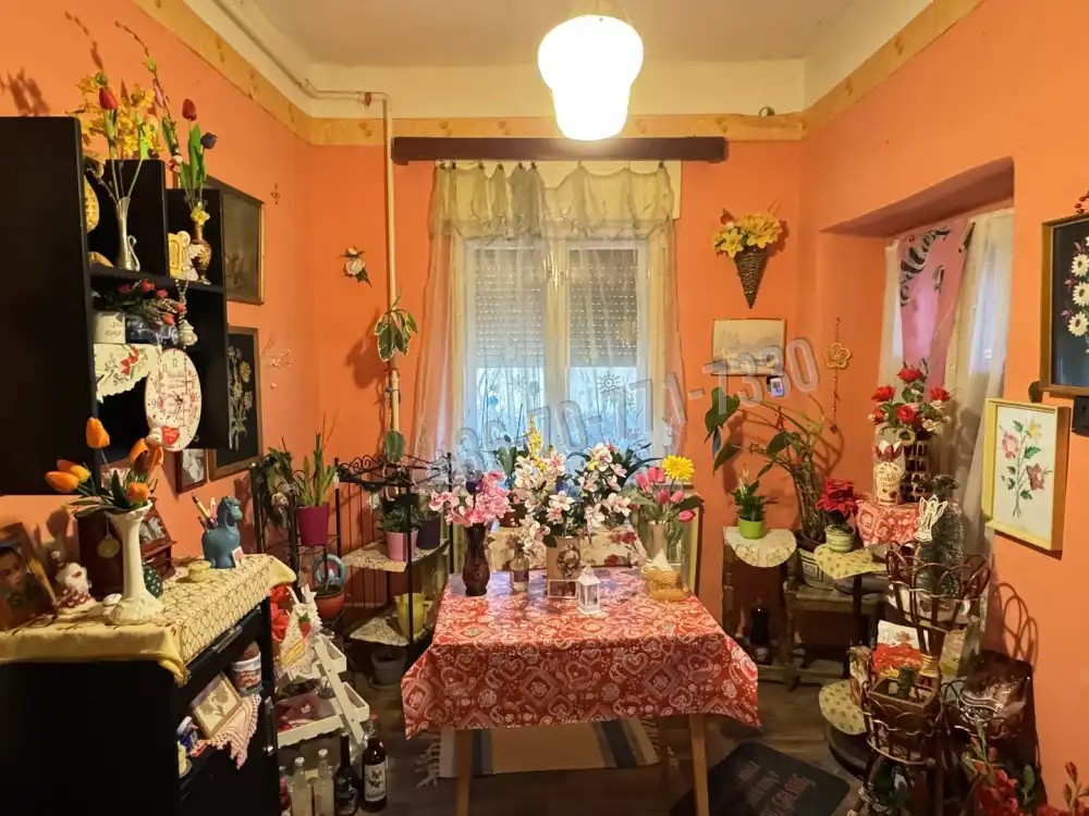 Jász-Nagykun-Szolnok megye - Jászalsószentgyörgy