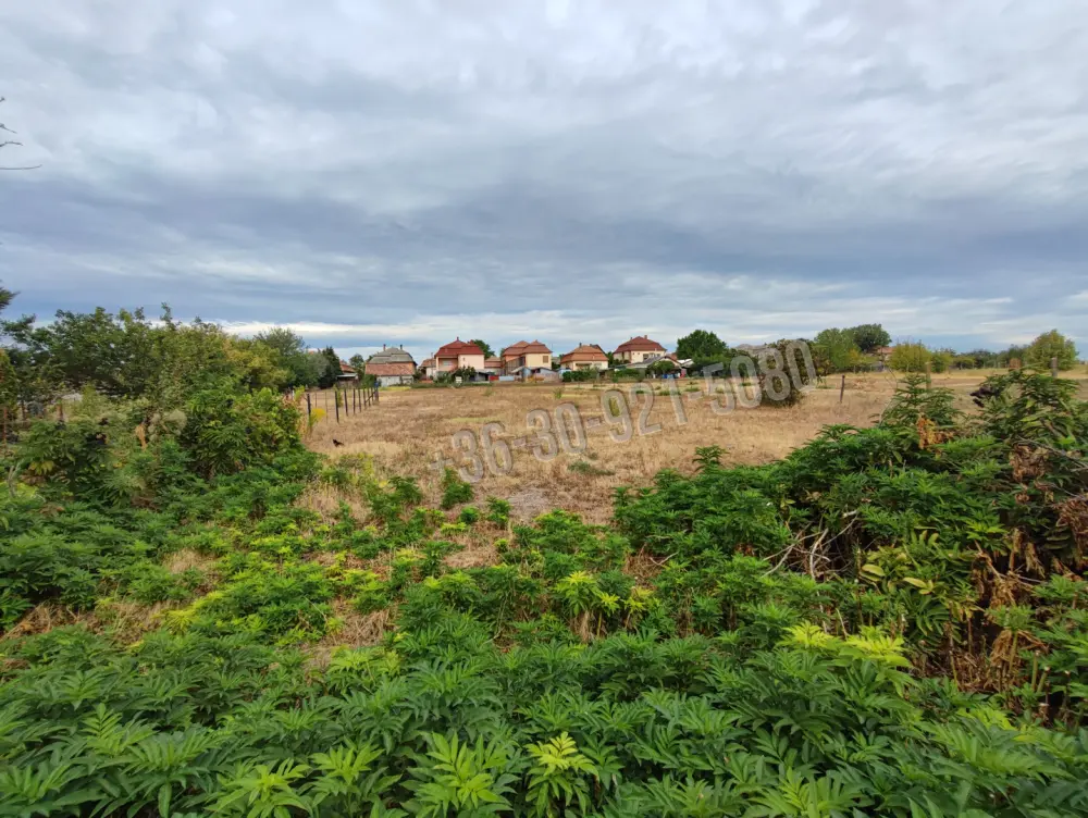 Pest megye - Kartal