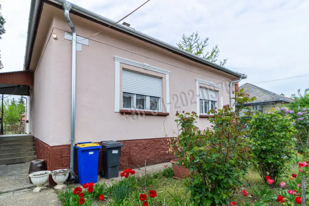 Bács-Kiskun megye - Kecskemét