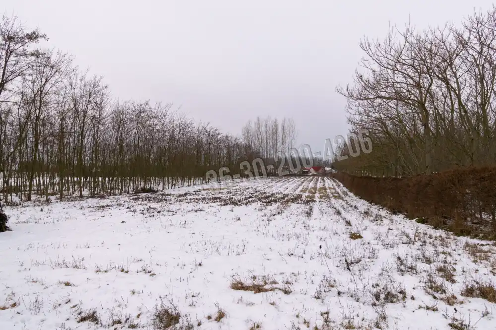 Győr-Moson-Sopron megye - Kimle