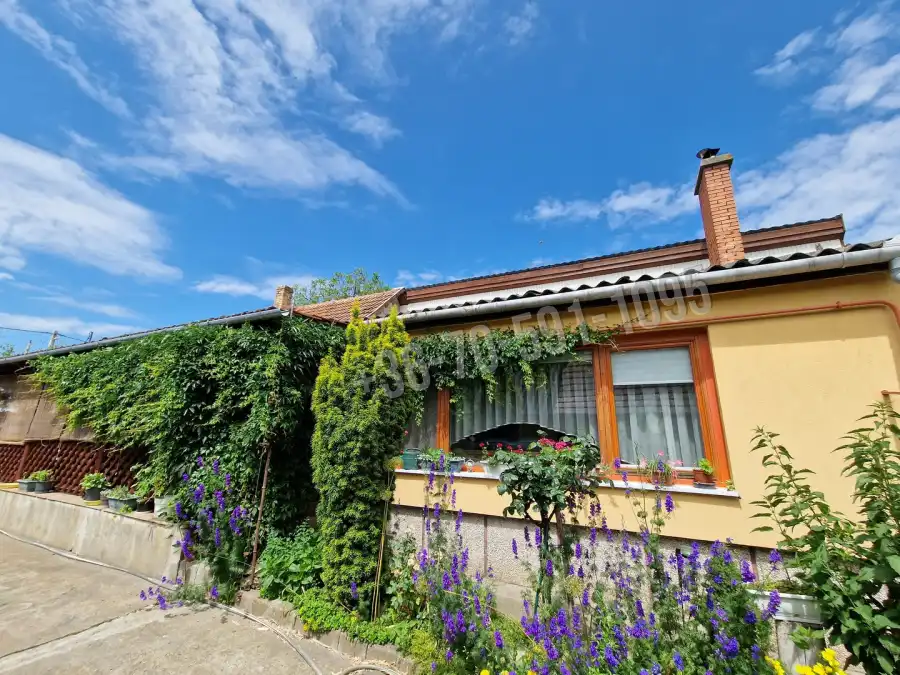 eladó családi ház, Kiskőrös