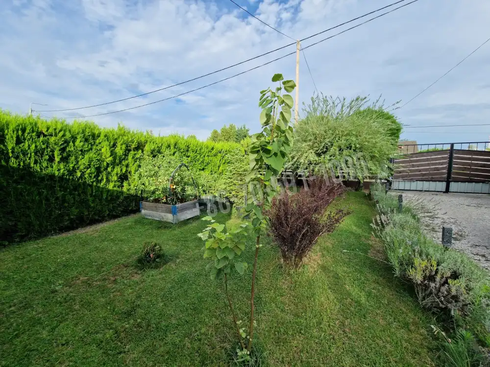 Bács-Kiskun megye - Kiskőrös