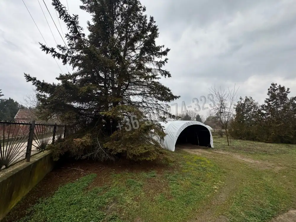 Bács-Kiskun megye - Kiskunfélegyháza