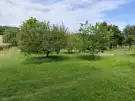 Zala megye - Kiskutas