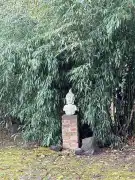 Pest megye - Kismaros