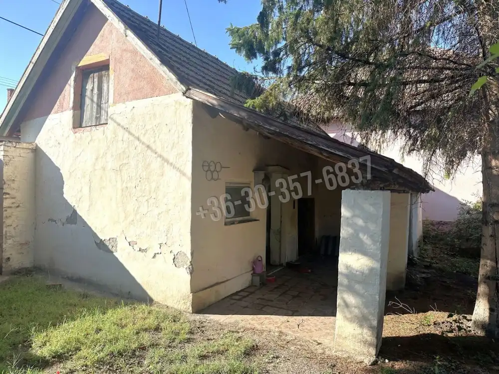 Csongrád megye - Kistelek