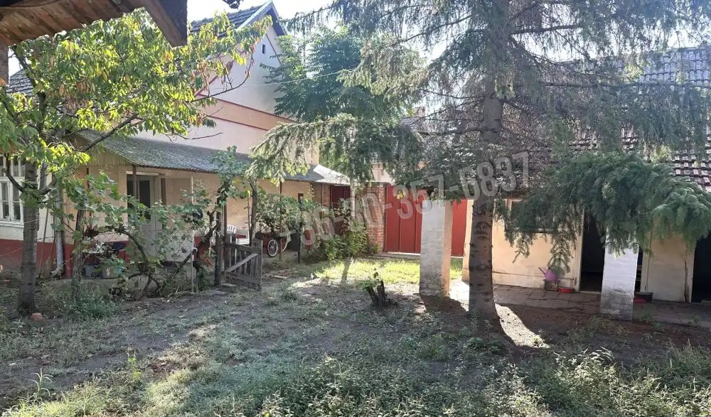 Csongrád megye - Kistelek