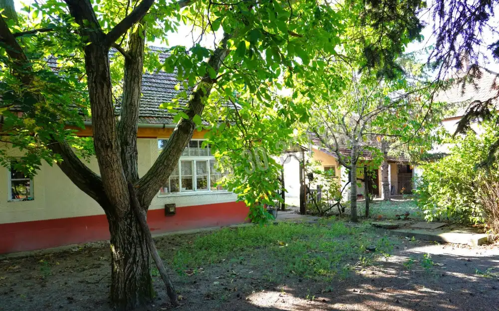 Csongrád megye - Kistelek