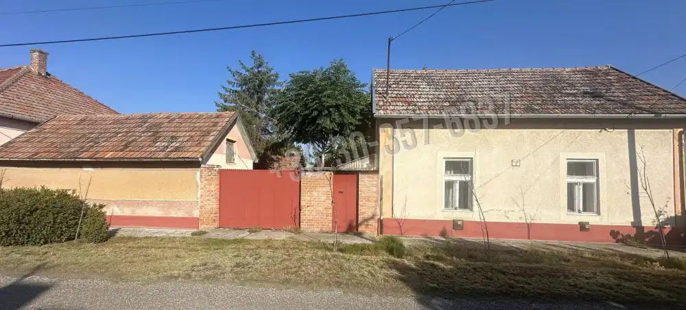 Csongrád megye - Kistelek