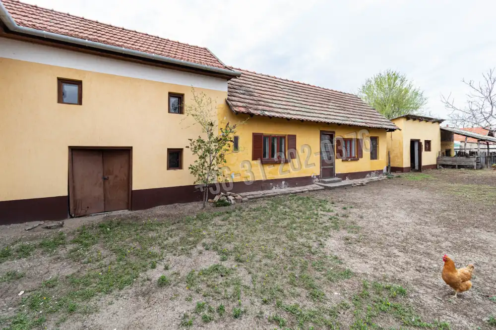 Csongrád megye - Kistelek