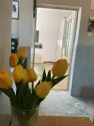 Komárom-Esztergom megye - Komárom